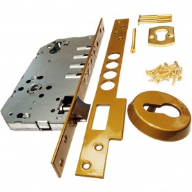 Cerradura Seguridad TESA R100B6SCE ( o R100B5SCE) ASSA ABLOY Serie 100, sin cilindro