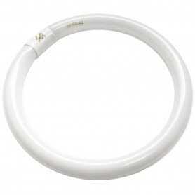 Fluorescente tubo Circular T9 TCF (Halofósforo) Luz Fría 6500K