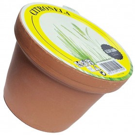 Vela con Citronela, vela Repelente para Mosquitos en Macetita pequeña barro, uso exterior.