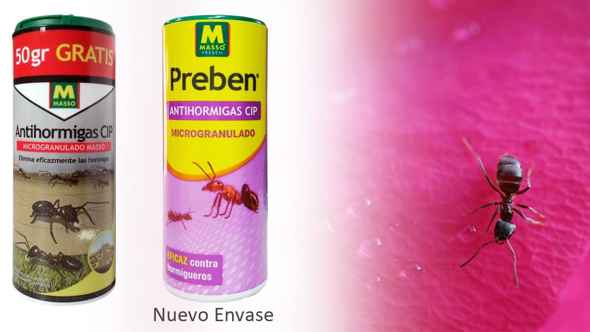 Insecticida Antihormigas CIP Microgranulado Massó