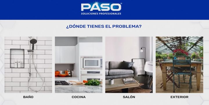 ¿Qué son los productos de Paso Profesional?